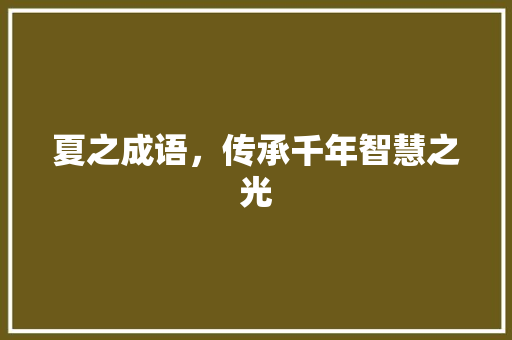 夏之成语，传承千年智慧之光