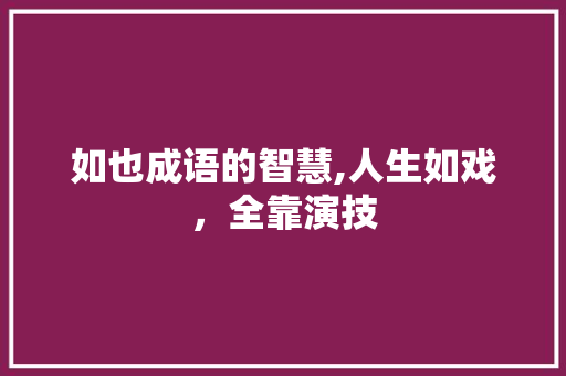 如也成语的智慧,人生如戏，全靠演技