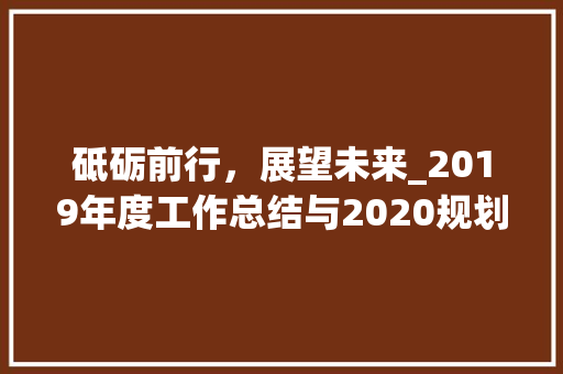 砥砺前行，展望未来_2019年度工作总结与2020规划