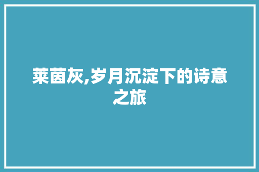 莱茵灰,岁月沉淀下的诗意之旅