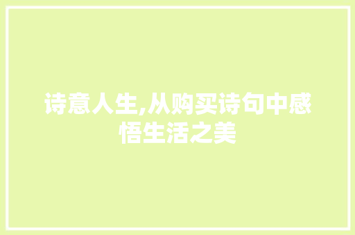 诗意人生,从购买诗句中感悟生活之美