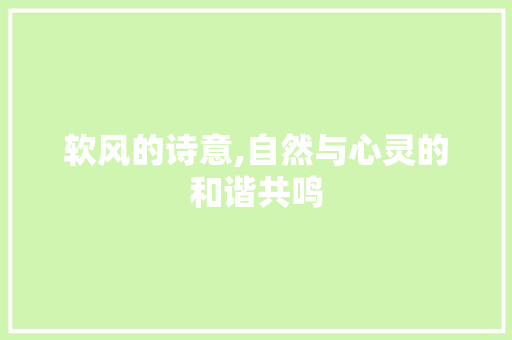 软风的诗意,自然与心灵的和谐共鸣