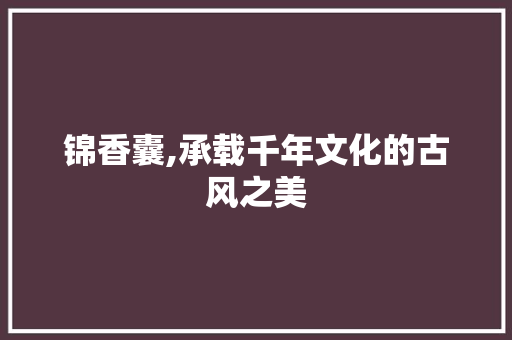 锦香囊,承载千年文化的古风之美