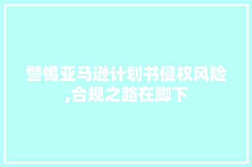 警惕亚马逊计划书侵权风险,合规之路在脚下