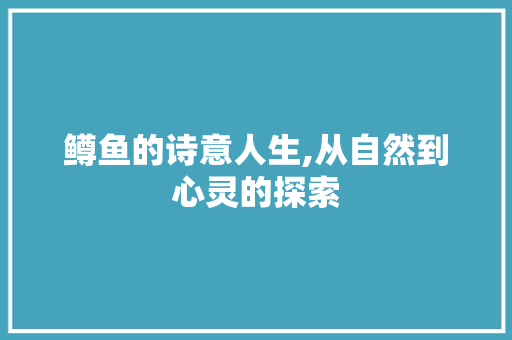 鳟鱼的诗意人生,从自然到心灵的探索