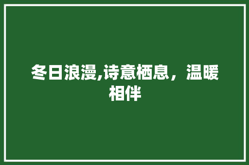 冬日浪漫,诗意栖息，温暖相伴 工作计划
