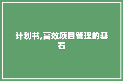 计划书,高效项目管理的基石