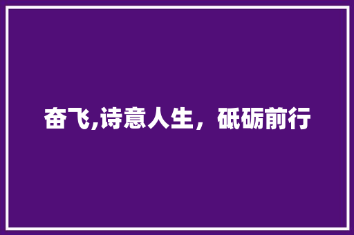 奋飞,诗意人生，砥砺前行