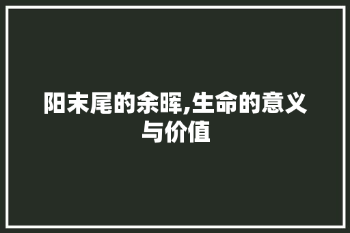 阳末尾的余晖,生命的意义与价值