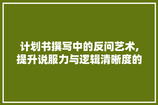 计划书撰写中的反问艺术,提升说服力与逻辑清晰度的关键步骤 工作总结