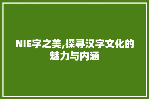 NIE字之美,探寻汉字文化的魅力与内涵