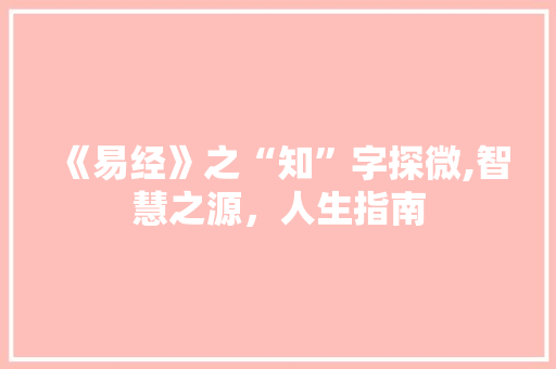 《易经》之“知”字探微,智慧之源，人生指南