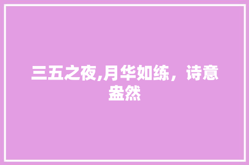 三五之夜,月华如练，诗意盎然 诗词鉴赏