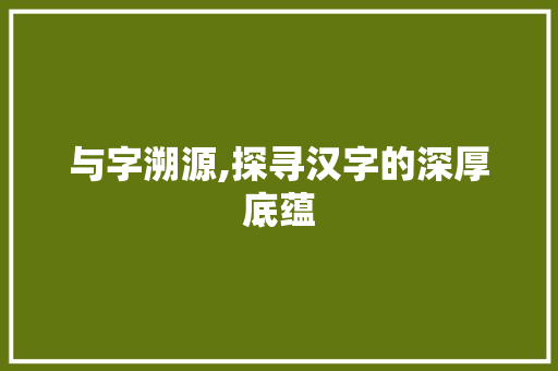 与字溯源,探寻汉字的深厚底蕴 工作总结
