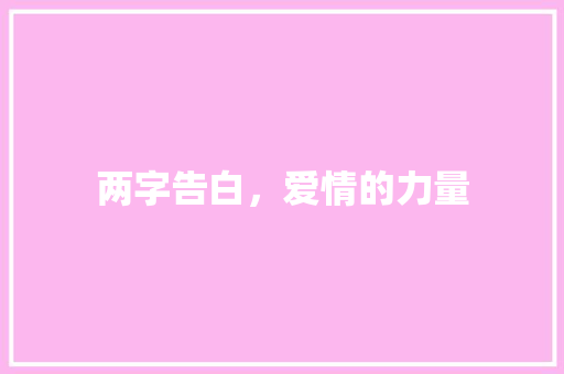 两字告白，爱情的力量