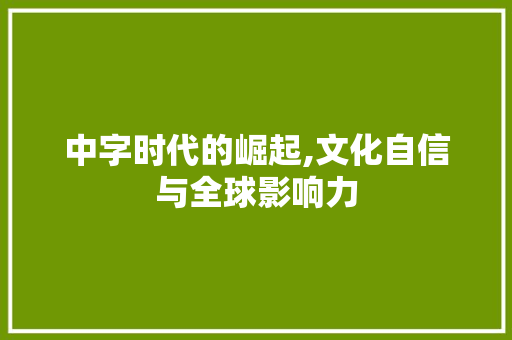 中字时代的崛起,文化自信与全球影响力
