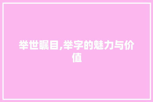举世瞩目,举字的魅力与价值