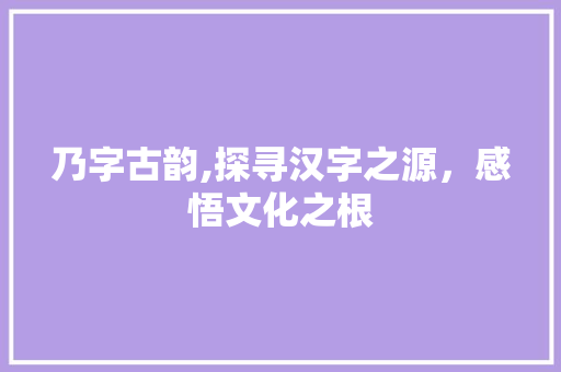 乃字古韵,探寻汉字之源，感悟文化之根