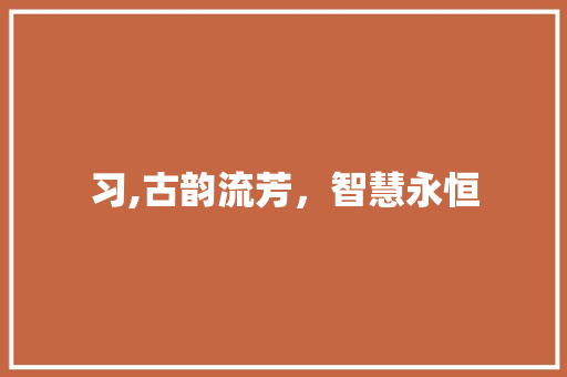 习,古韵流芳，智慧永恒