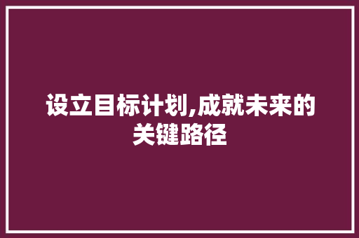 设立目标计划,成就未来的关键路径
