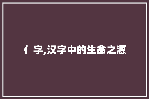 亻字,汉字中的生命之源