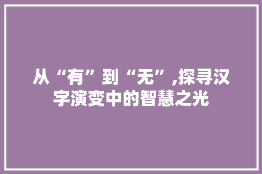 从“有”到“无”,探寻汉字演变中的智慧之光