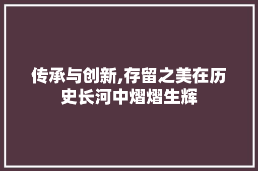传承与创新,存留之美在历史长河中熠熠生辉 诗词鉴赏