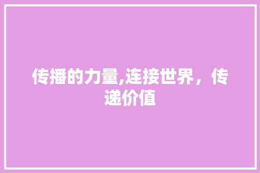 传播的力量,连接世界，传递价值 工作总结