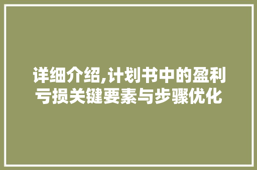 详细介绍,计划书中的盈利亏损关键要素与步骤优化 工作总结