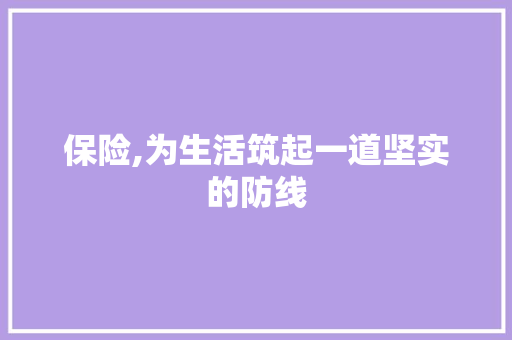 保险,为生活筑起一道坚实的防线