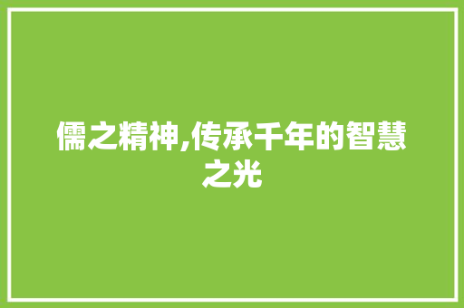 儒之精神,传承千年的智慧之光