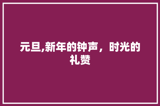 元旦,新年的钟声，时光的礼赞