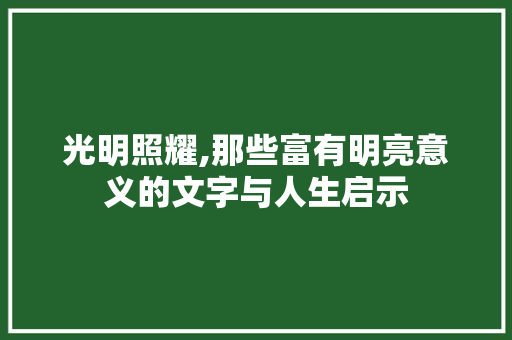 光明照耀,那些富有明亮意义的文字与人生启示