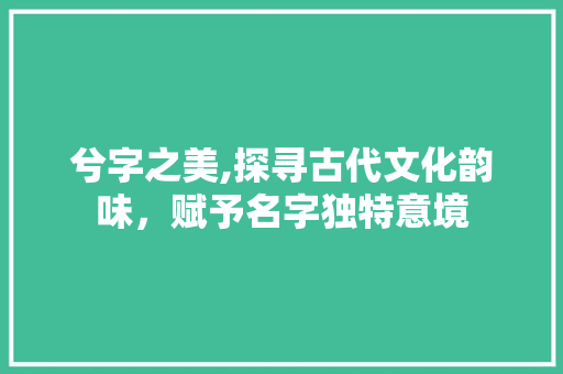 兮字之美,探寻古代文化韵味，赋予名字独特意境