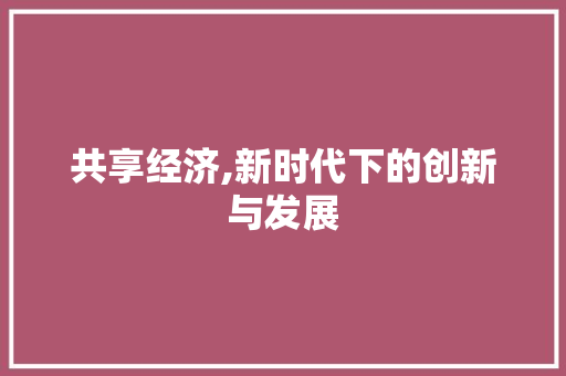 共享经济,新时代下的创新与发展