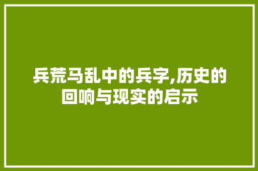 兵荒马乱中的兵字,历史的回响与现实的启示 名人名言