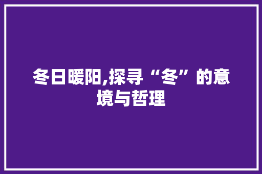 冬日暖阳,探寻“冬”的意境与哲理