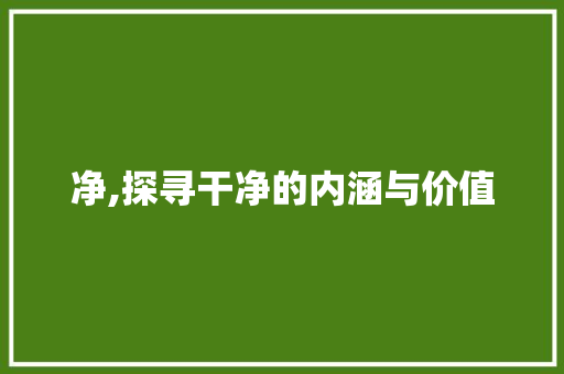 净,探寻干净的内涵与价值