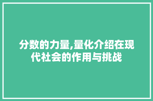 分数的力量,量化介绍在现代社会的作用与挑战