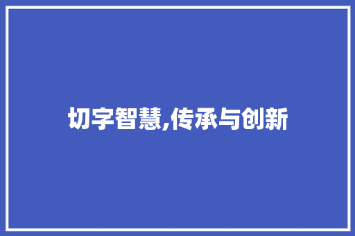 切字智慧,传承与创新 工作总结