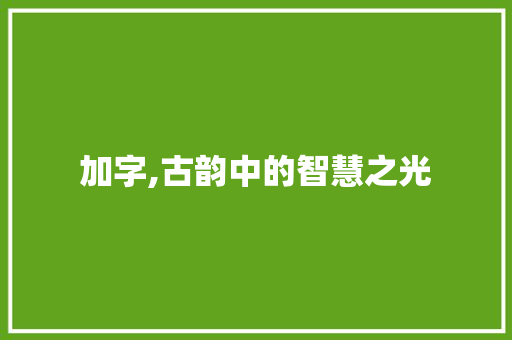 加字,古韵中的智慧之光 合同范本
