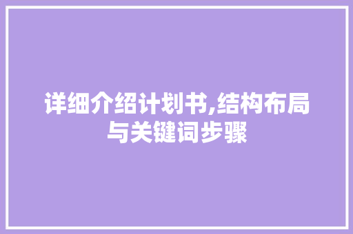 详细介绍计划书,结构布局与关键词步骤 工作总结