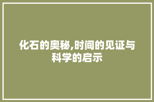 化石的奥秘,时间的见证与科学的启示
