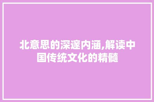 北意思的深邃内涵,解读中国传统文化的精髓