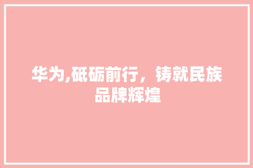 华为,砥砺前行，铸就民族品牌辉煌 名人名言