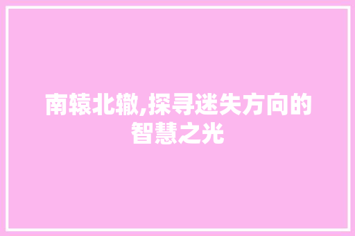 南辕北辙,探寻迷失方向的智慧之光