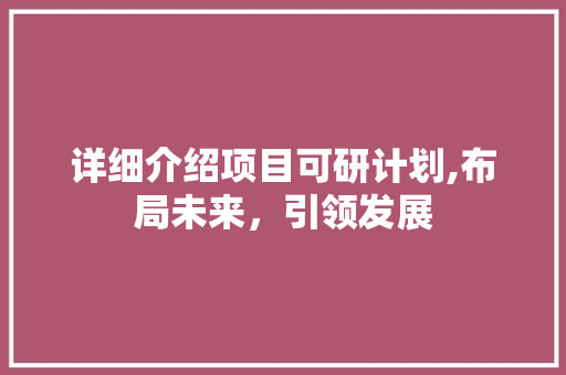详细介绍项目可研计划,布局未来，引领发展