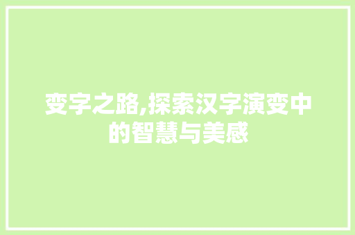 变字之路,探索汉字演变中的智慧与美感