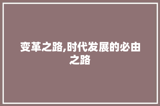 变革之路,时代发展的必由之路