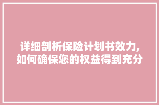 详细剖析保险计划书效力,如何确保您的权益得到充分保障 工作总结
